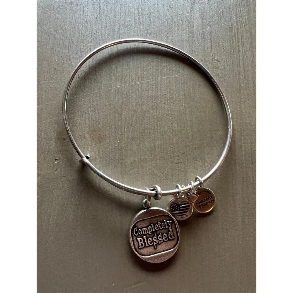 Alex and Ani Bangle Bracelet Lot 11pc Silver Gold Rose Gold Charms